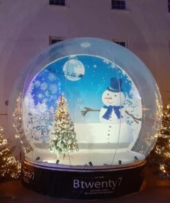 snow globe 05